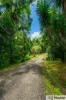 19 Bamber Street, Tully, Qld 4854-Image