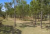 19 Barklya Court, Benaraby, Qld 4680-Image