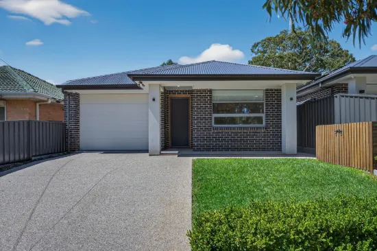 19 Barnett Avenue, St Marys, SA 5042