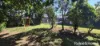 19 Barrbal Drive, Cooya Beach, Qld 4873-Image
