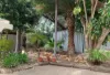 19 Beenong Street, Wanneroo, WA 6065-Image