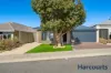 19 Bentham Rise, Wellard, WA 6170-Image