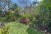 19 Bentinck Street, Sherwood, Qld 4075-Image