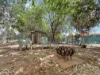 19 Bergman Circuit, Katherine, NT 0850-Image