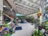 19 Biggs Avenue, Beachmere, Qld 4510-Image
