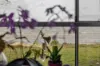 19 Biggs Avenue, Beachmere, Qld 4510-Image