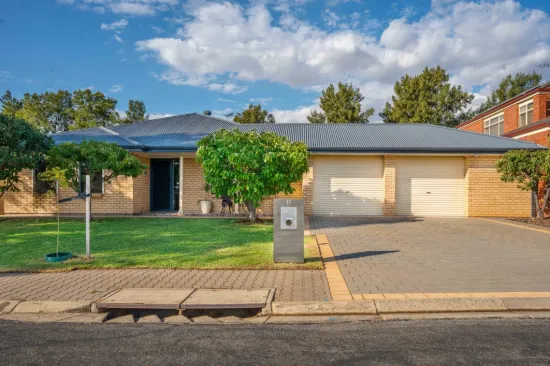 19 Birch Avenue, Salisbury East, SA 5109