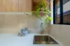 19 Birch Avenue, Salisbury East, SA 5109-Image