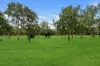 19 Buzacott Street, Gordonvale, Qld 4865-Image
