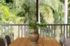 19 Calala Drive, Strathpine, Qld 4500-Image