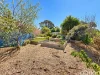 19 Campbell Grove, Lake Bunga, Vic 3909-Image