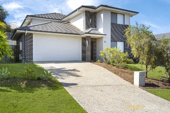 19 Capricorn Cres, Springfield Lakes, Qld 4300