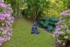 19 Carool Road, Bilambil, NSW 2486-Image