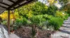 19 Carramar Drive, Goonellabah, NSW 2480-Image
