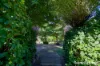 19 Cedar Street, Killarney, Qld 4373-Image