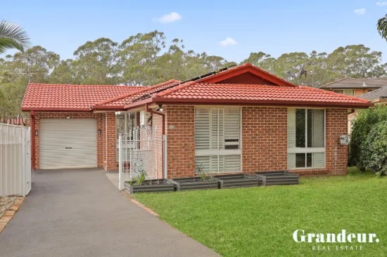 19 Celeste Court, Rooty Hill, NSW 2766