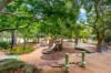 19 Central Street, Naremburn, NSW 2065-Image