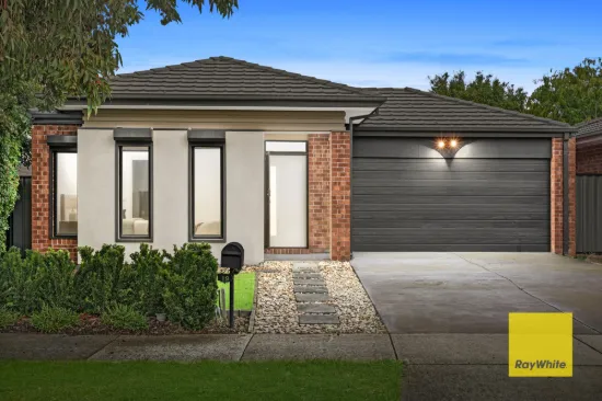 19 Chicory Street, Mernda, Vic 3754