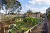 19 Clarke Street, Freeling, SA 5372-Image
