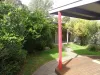 19 Clifton Street, Millswood, SA 5034-Image