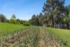 19 Clothier Road, Bellingen, NSW 2454-Image