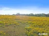 19 Coila View Lane, Bingie NSW 2537-Image
