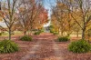 19 Cornish Road, Riddells Creek, Vic 3431-Image