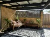 19 Covington Street, Chinchilla, Qld 4413-Image