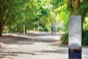 19 Cummins Grove, Malvern, Vic 3144-Image