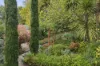 19 Daly Street, Daylesford, Vic 3460-Image