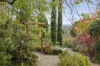 19 Daly Street, Daylesford, Vic 3460-Image