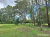 19 Darwin Road, Bauple, Qld 4650-Image