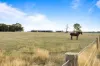 19 Davies Court, Snake Valley, Vic 3351-Image