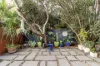 19 Day Street, Marrickville, NSW 2204-Image