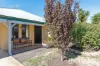 19 Dentata Street, Banksia Grove, WA 6031-Image