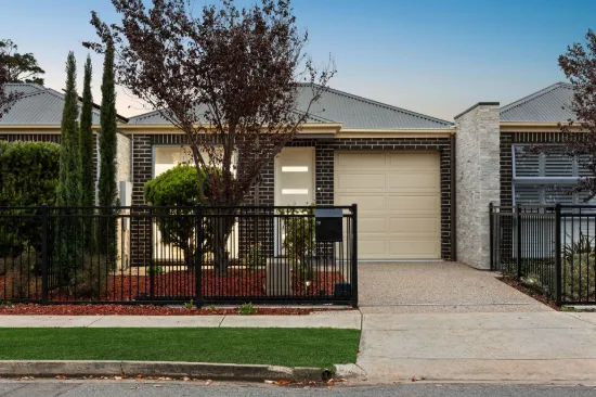 19 Doreen Street, Oaklands Park, SA 5046