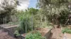 19 Dunsford St, Zillmere, Qld 4034-Image