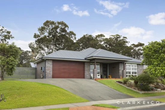19 Duskdarter Street, Chisholm, NSW 2322