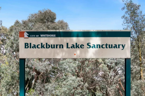 19 Edinburgh Road, Blackburn South VIC 3130-Image