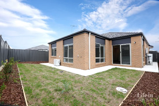 19 Erasmus Avenue, Craigieburn, Vic 3064