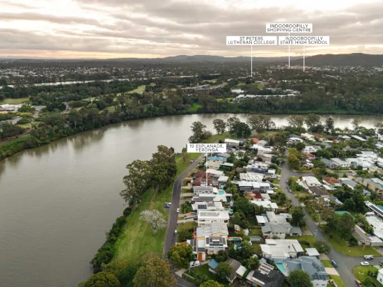 19 Esplanade, Yeronga, Qld 4104-Image