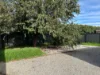 19 Fairbridge Road, Point Cook, Vic 3030-Image