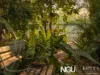 19 Falvey Street, Ripley, Qld 4306-Image