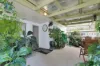 19 Fatnowna Street, Andergrove, Qld 4740-Image