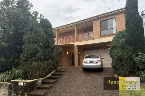 19  Faulkner Crescent, North Lambton, NSW 2299