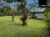 19 First Avenue, Tarzali, Qld 4885-Image