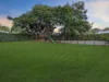 19 Flamingo Crescent, Thornlands, Qld 4164-Image