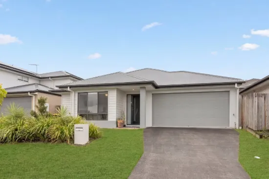 19 Flint Place, Park Ridge, Qld 4125