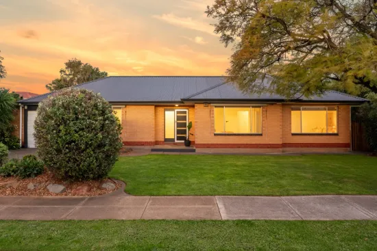 19 Florence Street, Netley, SA 5037