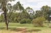 19 Flos Greig Street, Watson, ACT 2602-Image